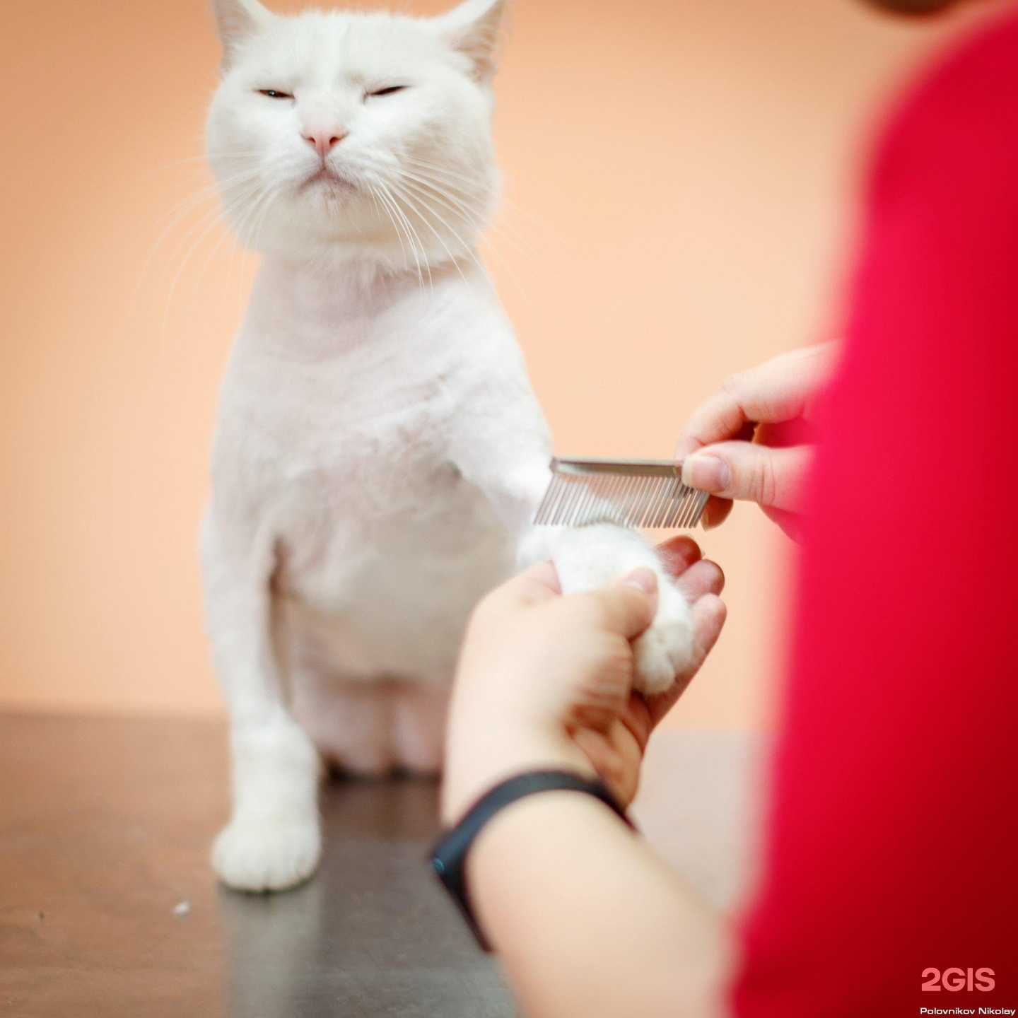 Отзывы на компанию Лёвушка в Челябинске c фото