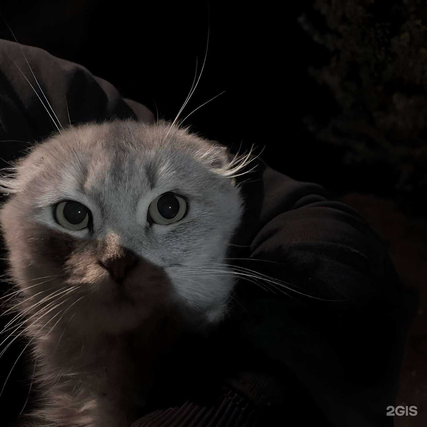 Отзывы на компанию Botva_buket в г. Ханты-Мансийск c фото