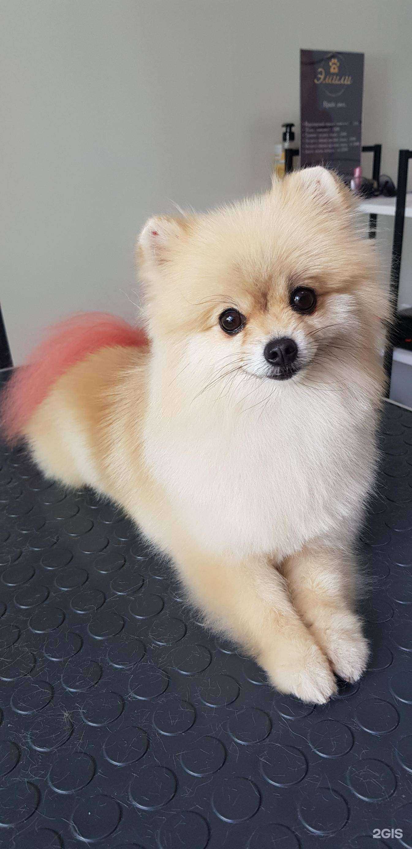 Отзывы на компанию Эмили в г. Новочебоксарск c фото