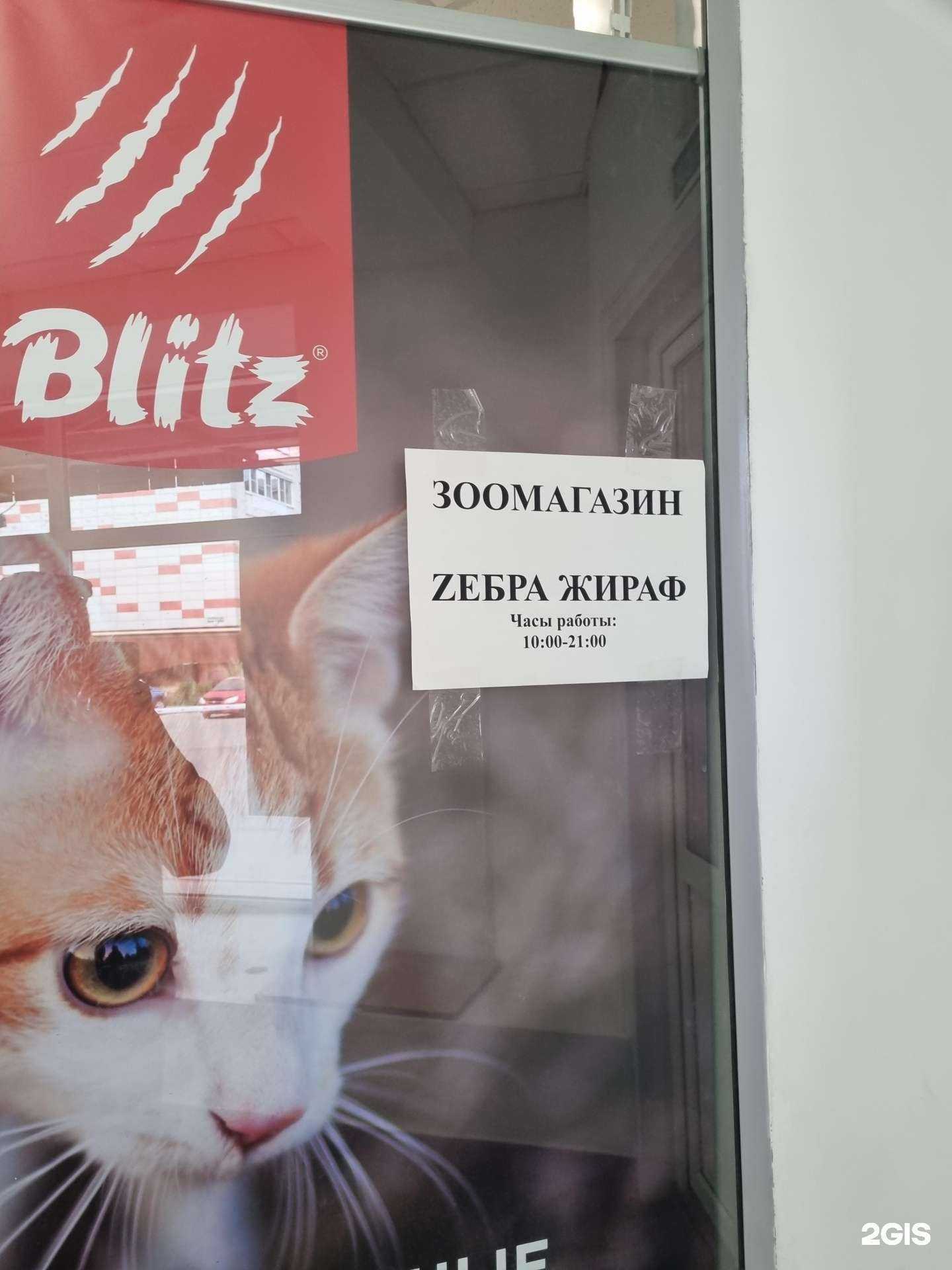 Отзывы на компанию ZебраЖираф в г. Вологда c фото