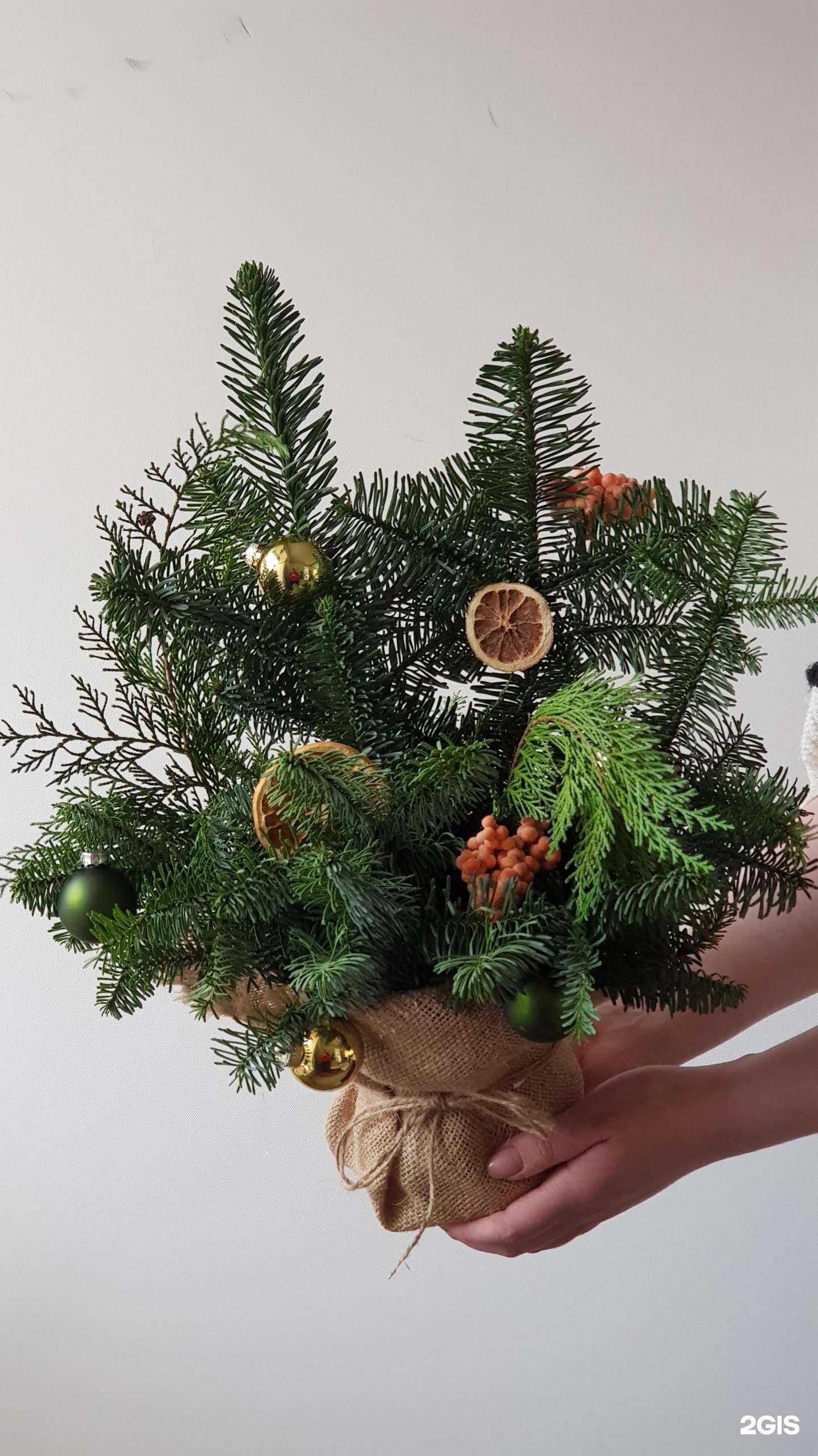 Отзывы на компанию Поле в Екатеринбурге c фото