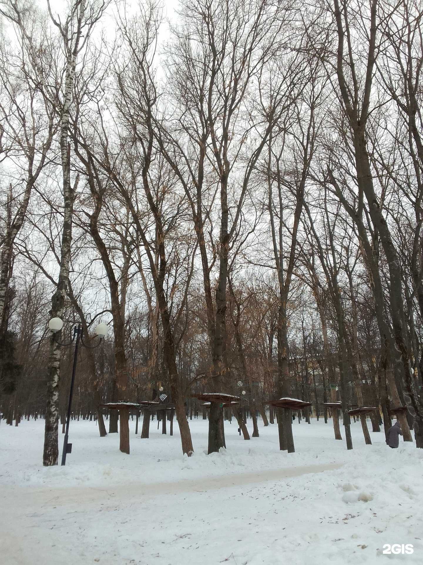 Отзывы на компанию Poligon event в г. Владимир c фото