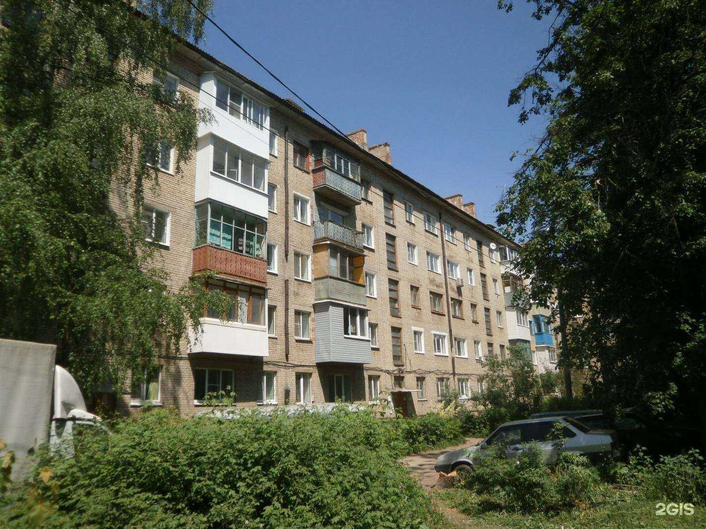 Отзывы на компанию Zооленд в Новомосковске c фото - фотография 2 из 2