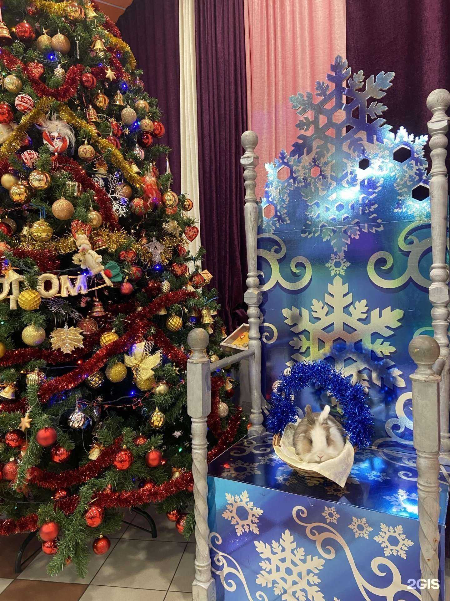 Отзывы на компанию Kindergrad в Набережных Челнах c фото