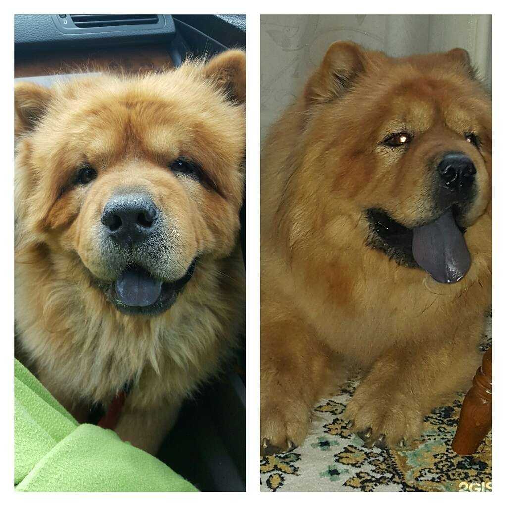 Отзывы на компанию Цирюльня у Юли в г. Иркутск c фото