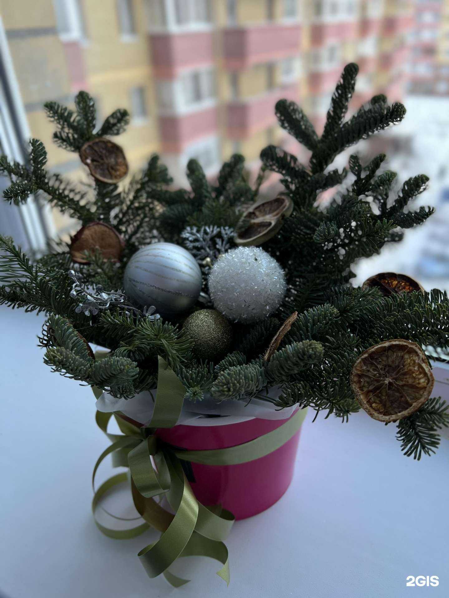 Отзывы на компанию Mi Amor в Ярославле c фото