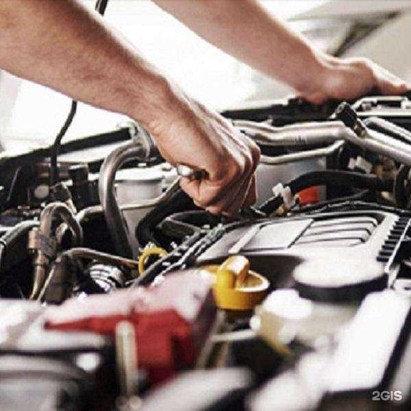 Отзывы на компанию Ursa в Петропавловске-Камчатском c фото