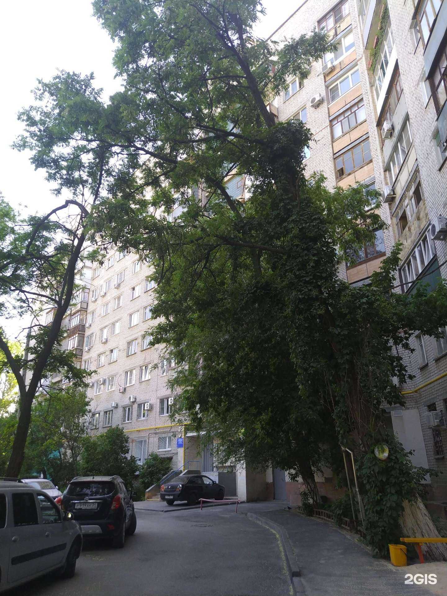 Отзывы на компанию Lingua.vlg в Волгограде c фото - фотография 2 из 2