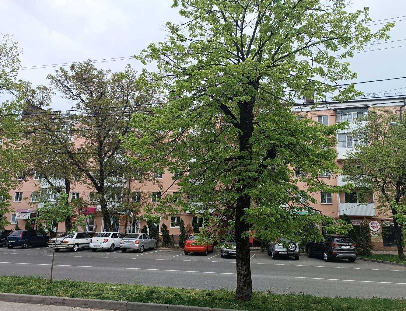 Отзывы на компанию Гараж Джобса в Ставрополе c фото - фотография 2 из 2