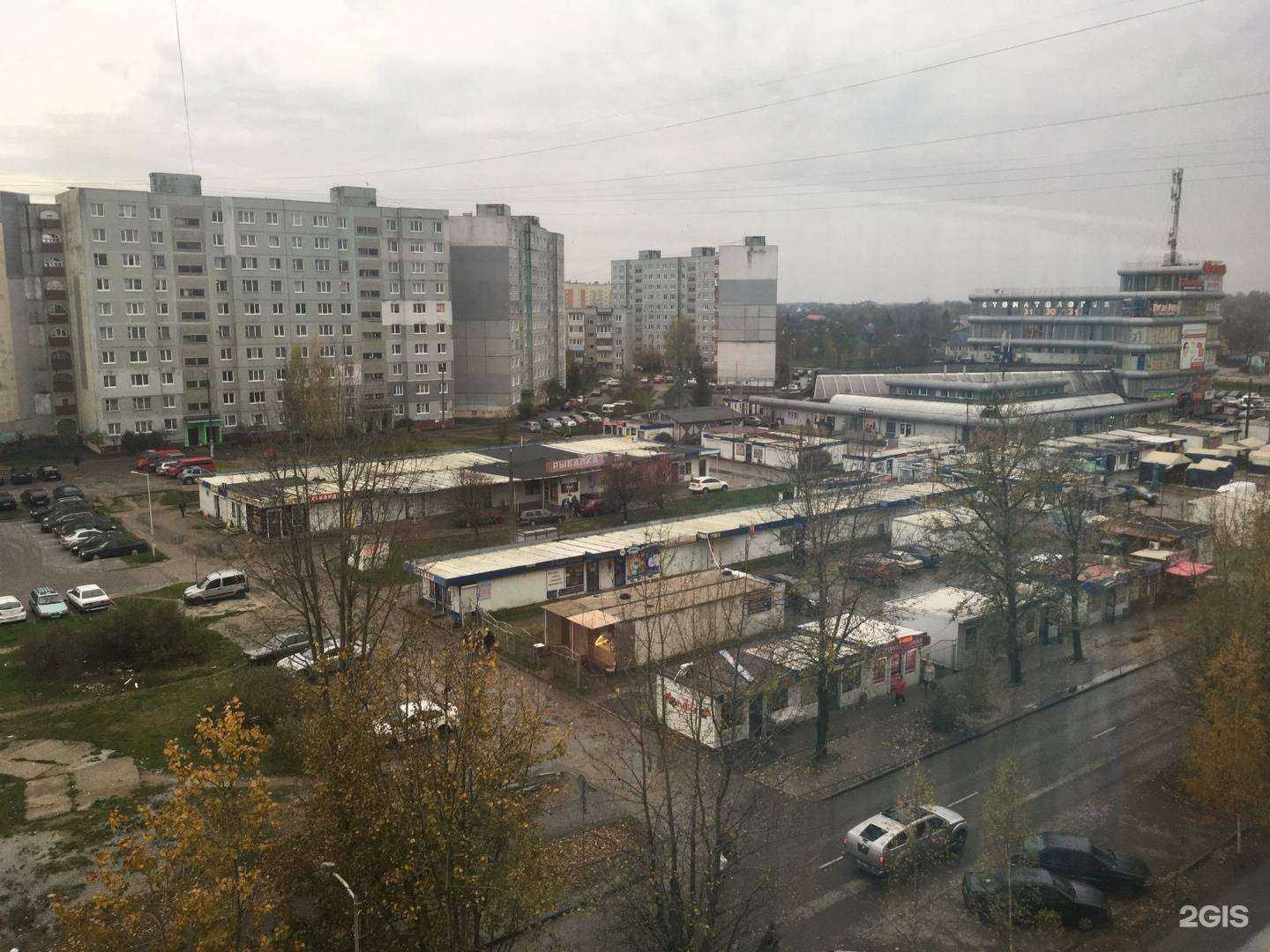 Отзывы на компанию Сад огород в Калининграде c фото - фотография 2 из 2