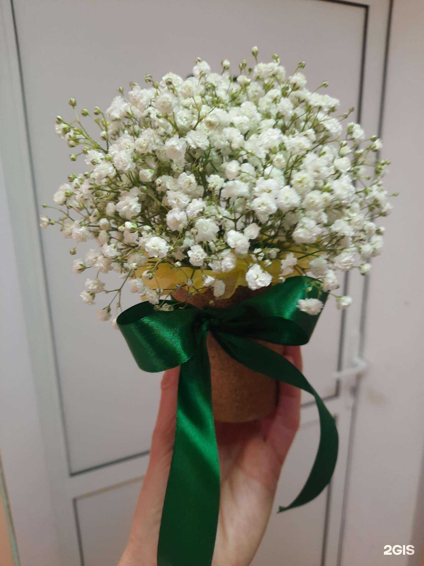 Отзывы на компанию Money roses в Иркутске c фото - фотография 2 из 2