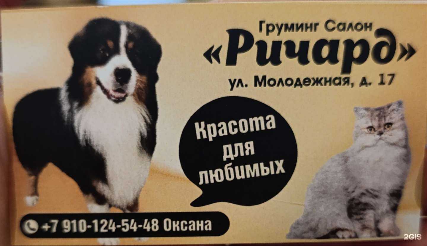 Отзывы на компанию Ричард в г. Дзержинск c фото