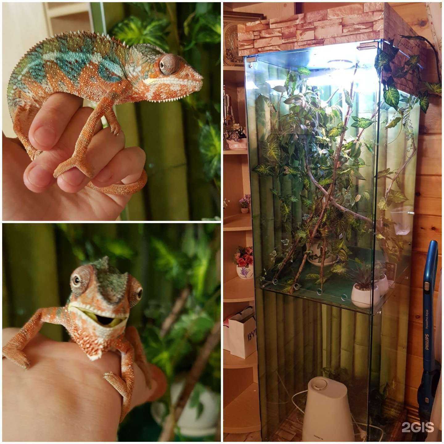 Отзывы на компанию Орвикс в Иркутске c фото