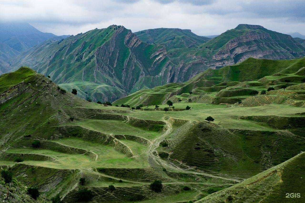 Отзывы на компанию Сакля горца в г. Махачкала c фото