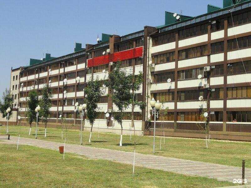 Отзывы на компанию Элит в Гудермесе c фото