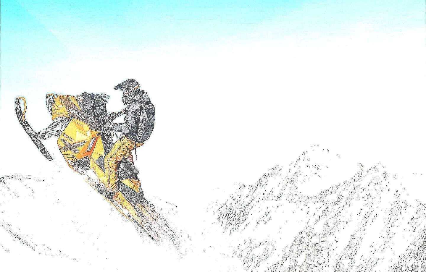 Отзывы на компанию Альта-Спорт в г. Воронеж c фото