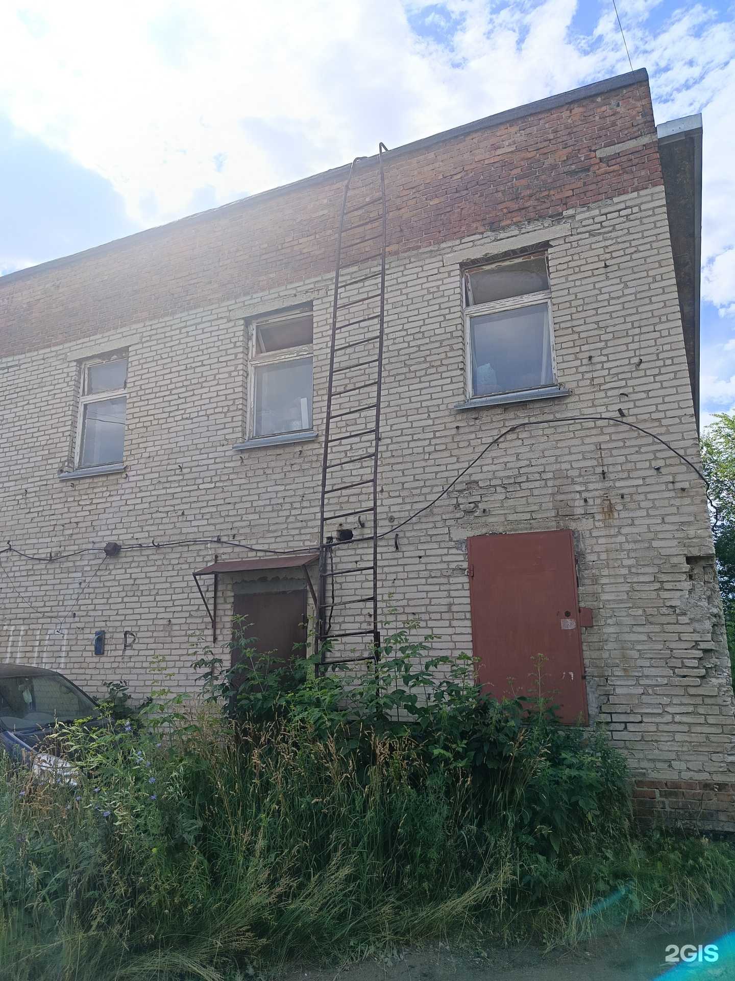 Отзывы на компанию Рыжий лев в Новосибирске c фото - фотография 2 из 2