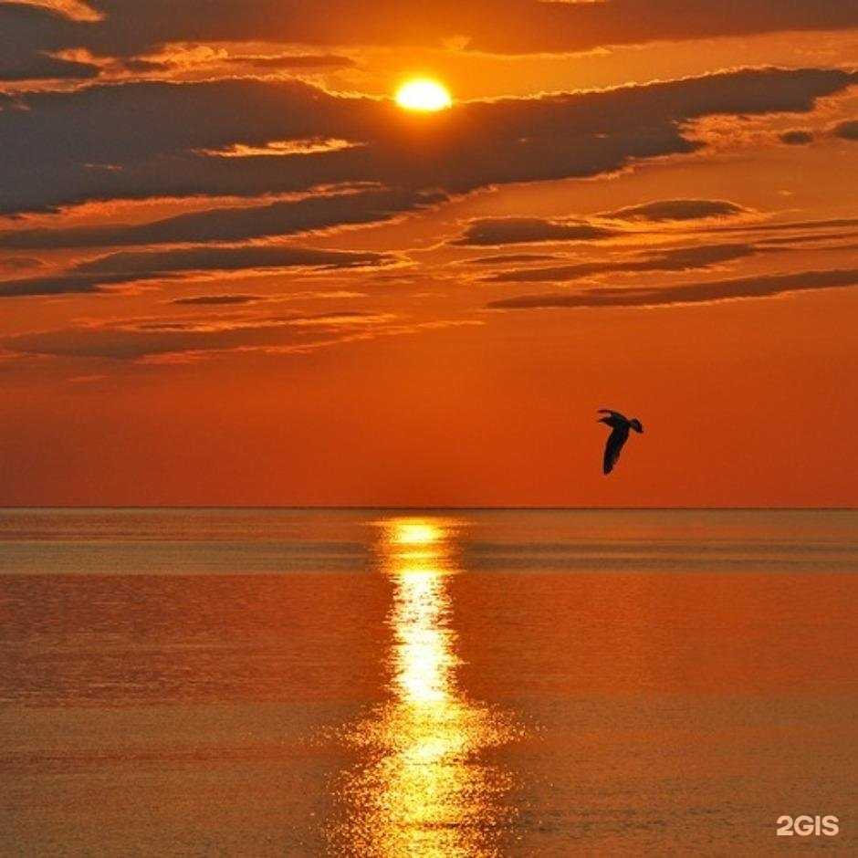 Отзывы на компанию Энергия жизни в Барнауле c фото