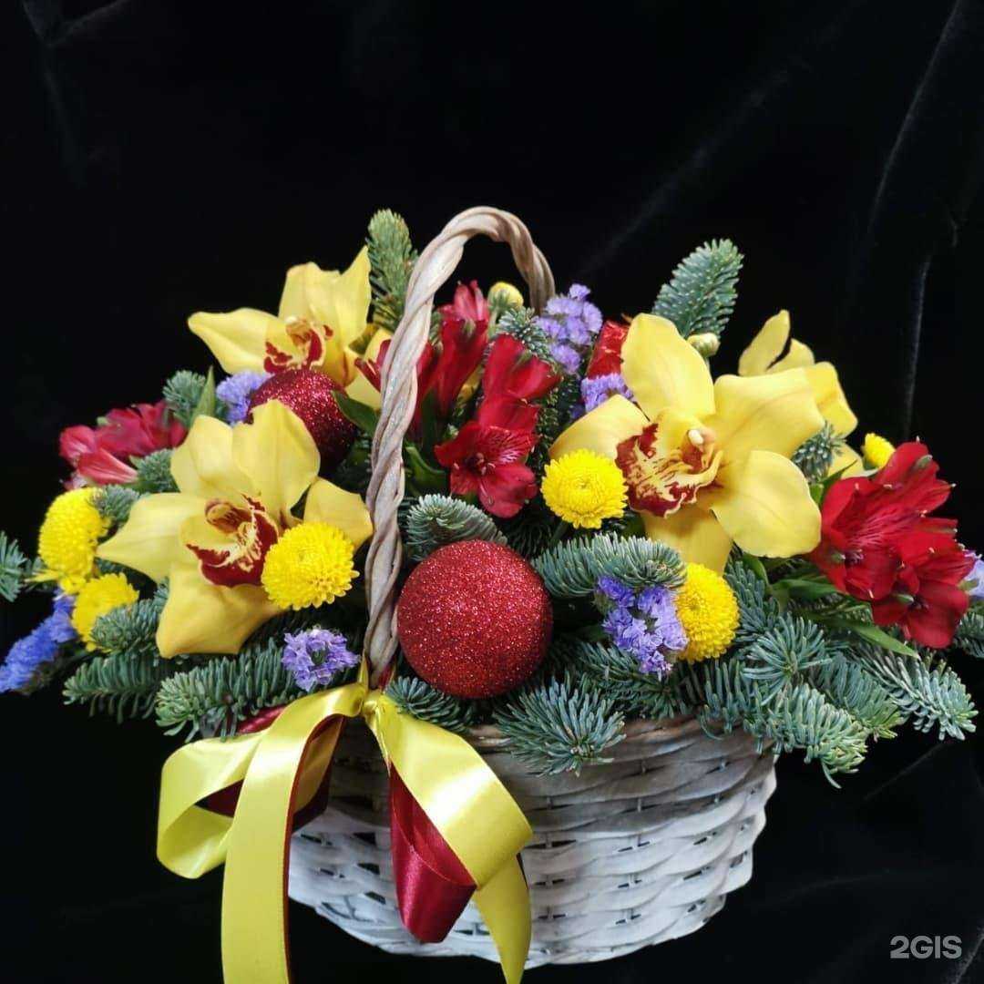 Отзывы на компанию Мисс Виола в Тольятти c фото