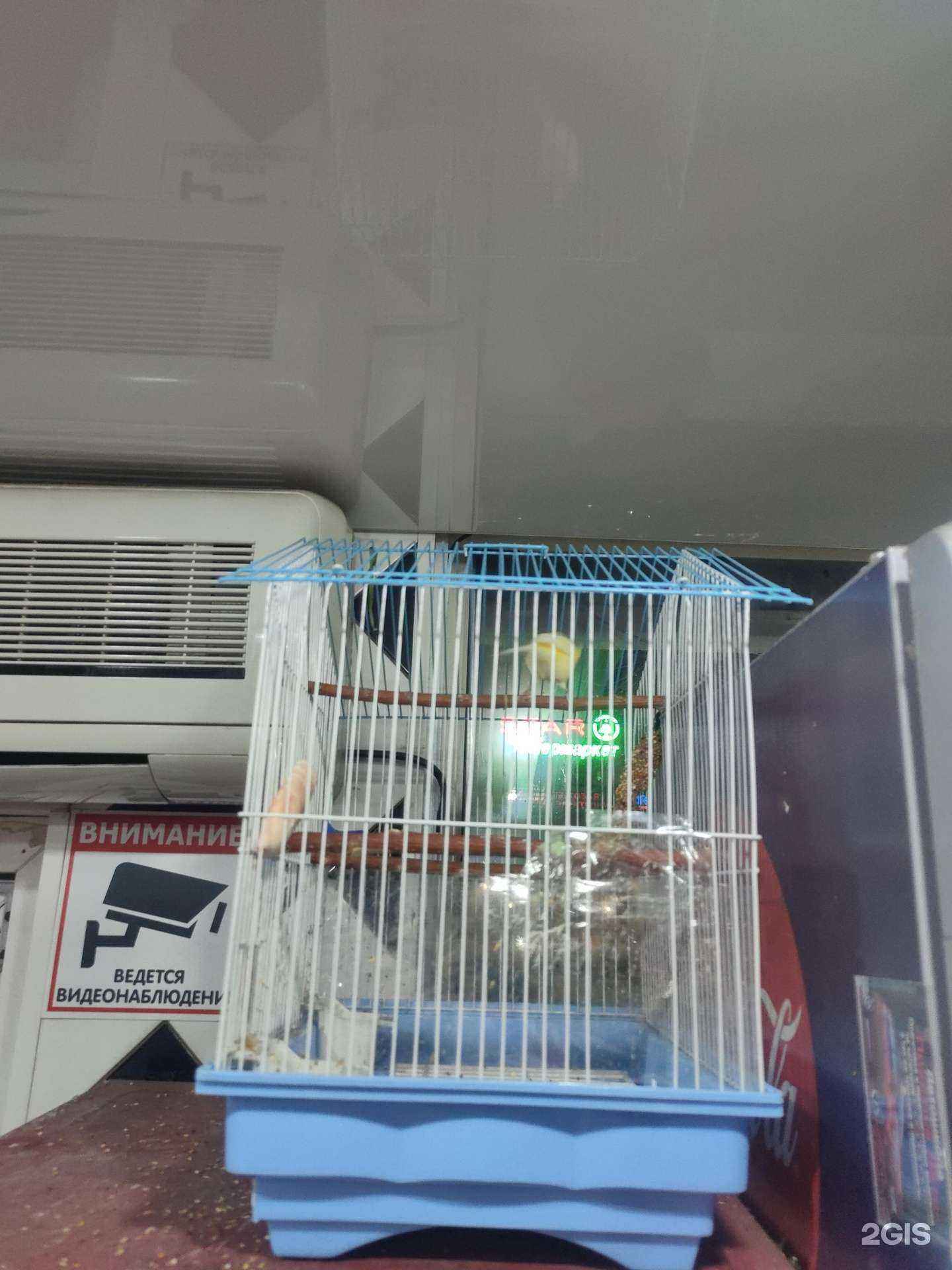 Отзывы на компанию Цветы на Ура в г. Магнитогорск c фото