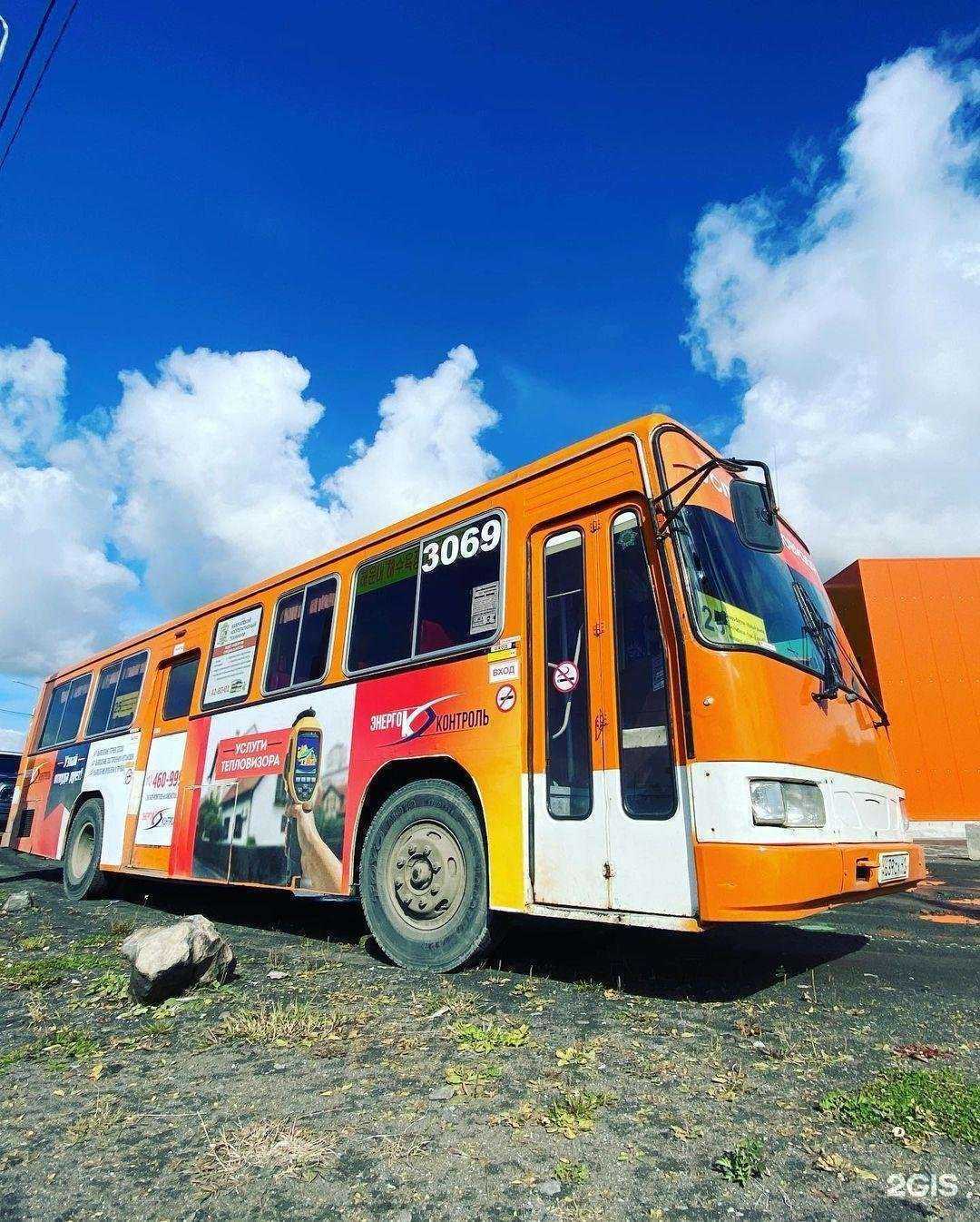 Отзывы на компанию Черника в г. Петропавловск-Камчатский c фото