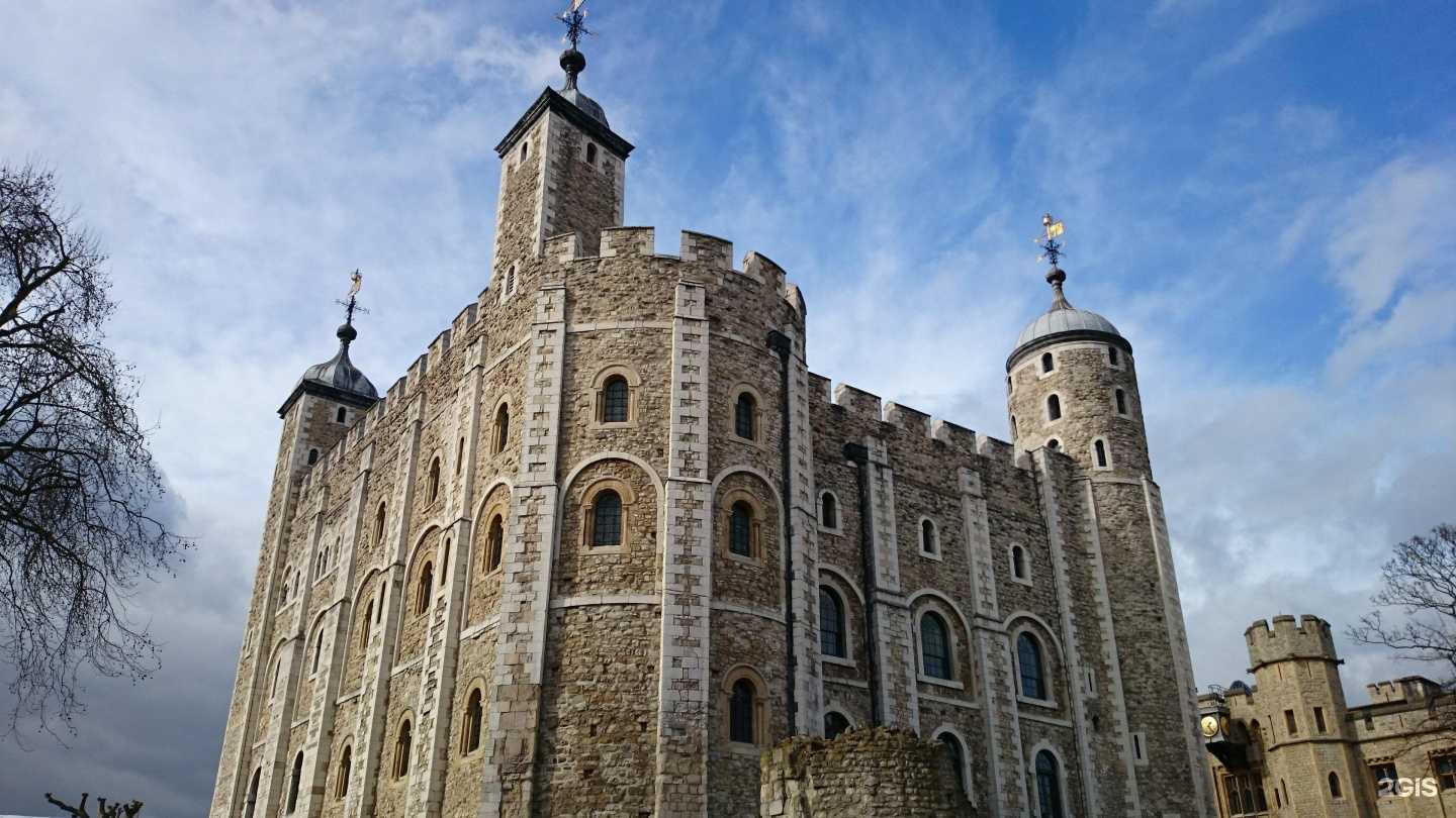 Отзывы на компанию Студия иностранных языков в Лыткарине c фото