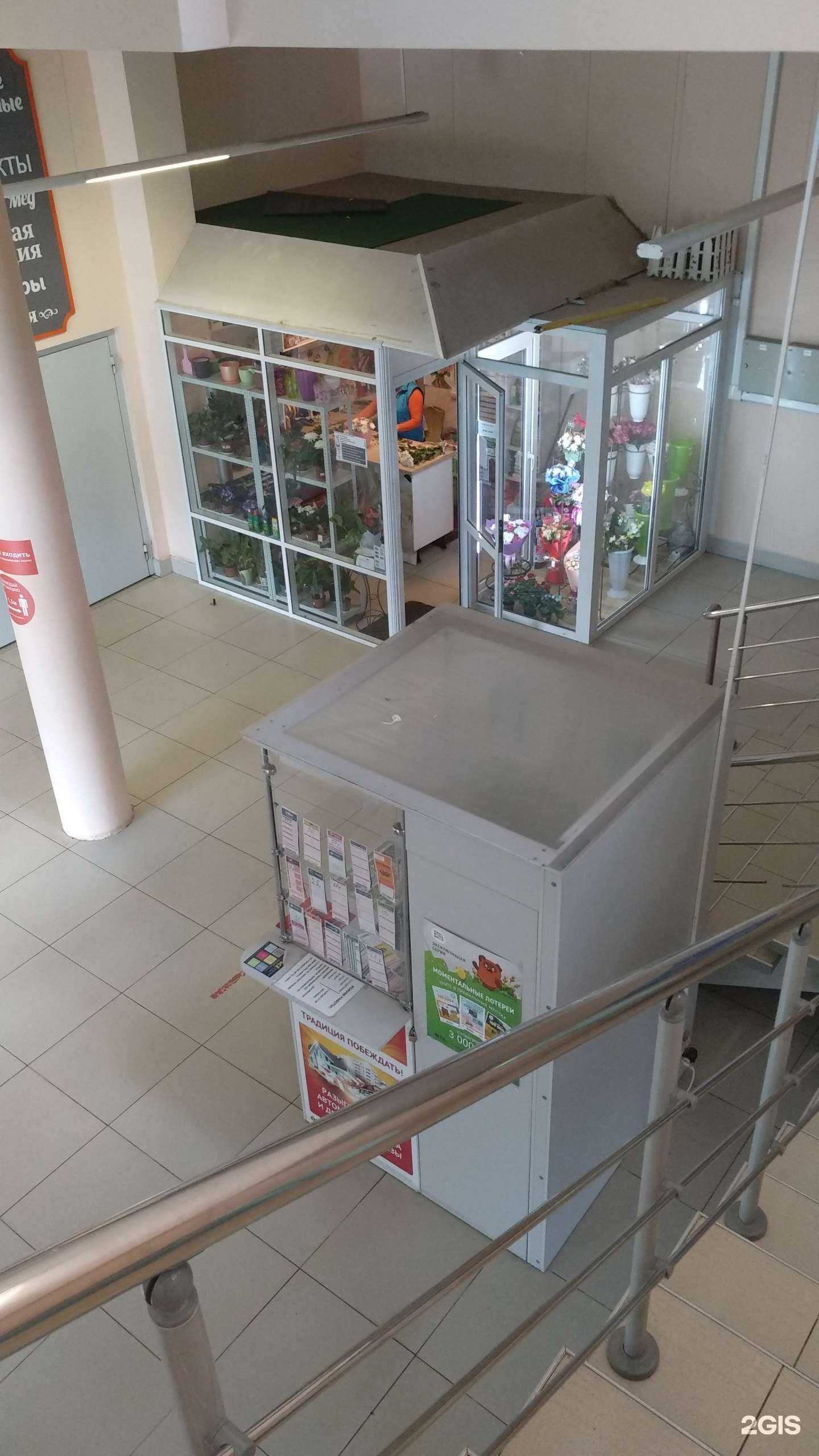 Отзывы на компанию Протея в г. Ступино c фото