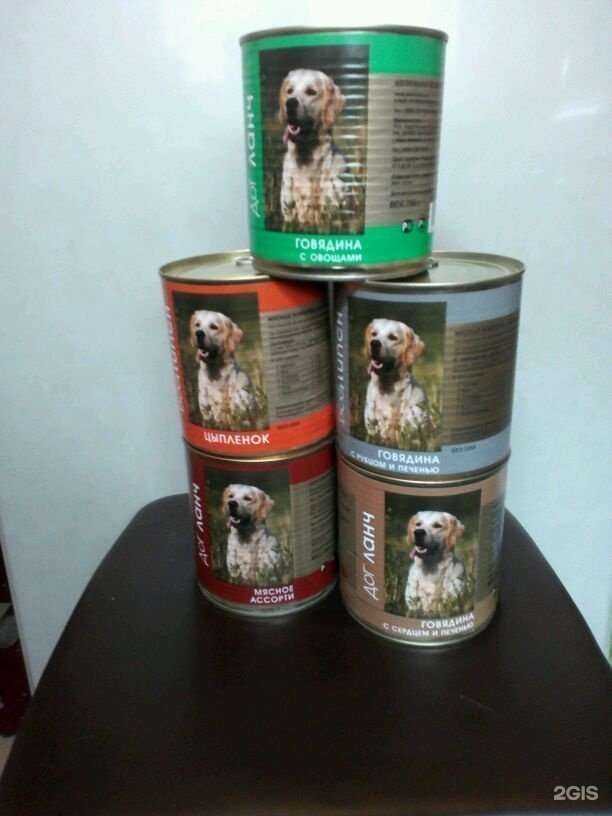 Отзывы на компанию Кормушка в Екатеринбурге c фото