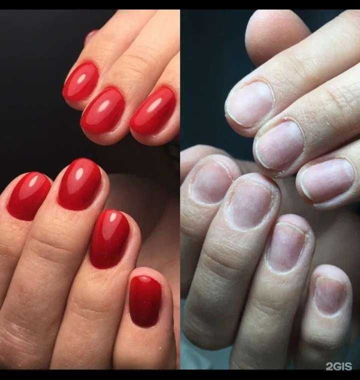 Отзывы на компанию Akvarel в Екатеринбурге c фото