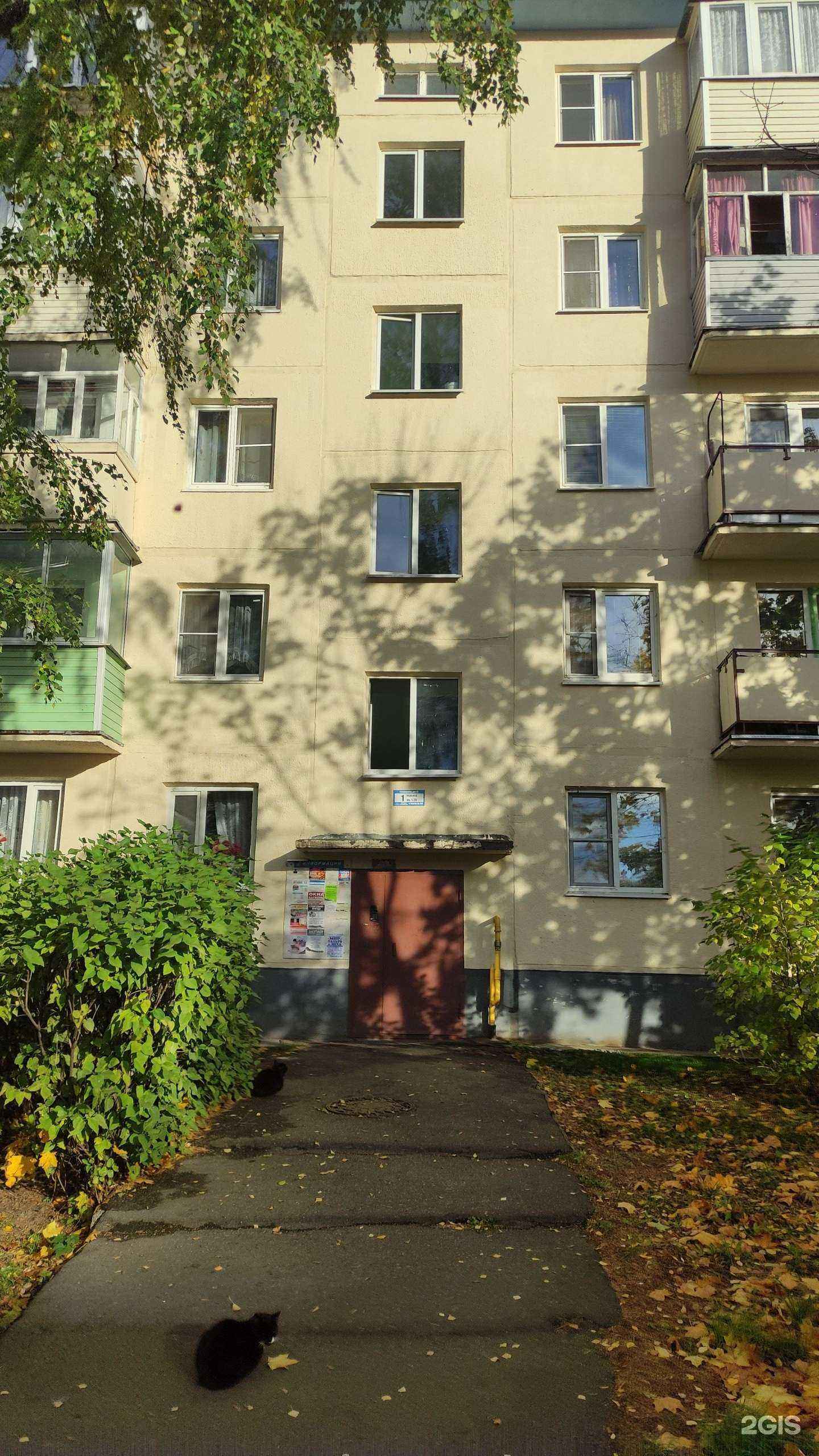 Отзывы на компанию Лайк в Егорьевске c фото - фотография 2 из 2