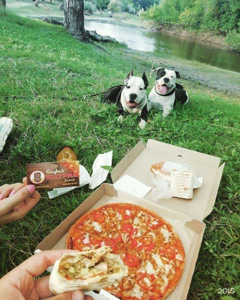 Отзывы на компанию Шадвал в Астрахани c фото