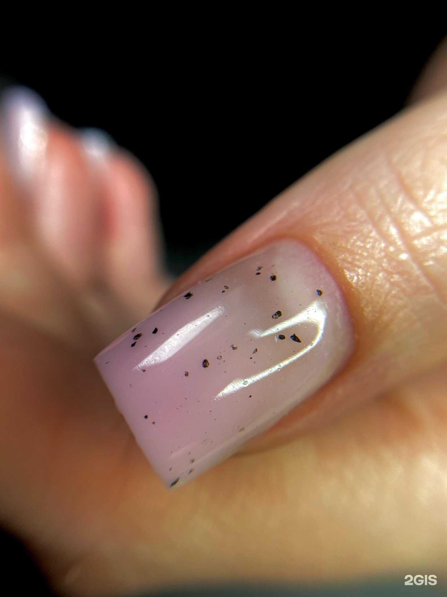 Отзывы на компанию Studio Gavr в Рубцовске c фото