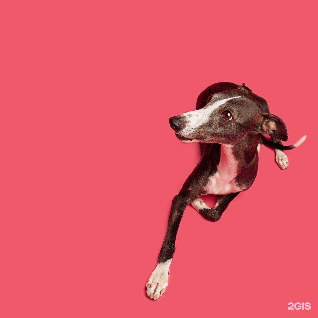 Отзывы на компанию Мир Корма в г. Гурьевск c фото