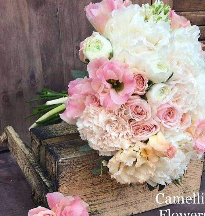 Отзывы на компанию Camellia в г. Рязань c фото