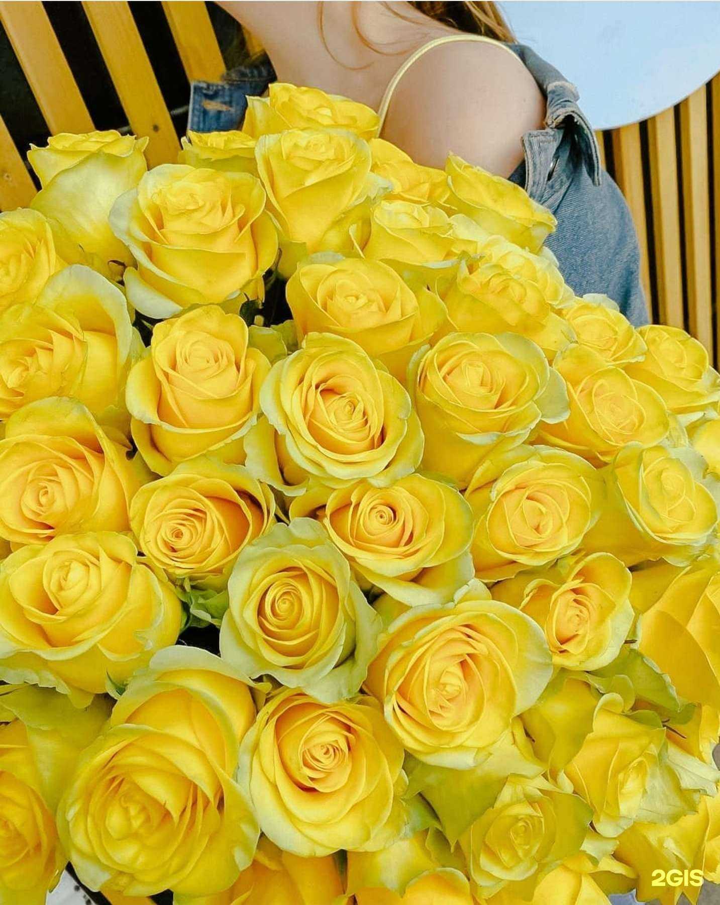 Отзывы на компанию Эвкалипт_34 в Волгограде c фото