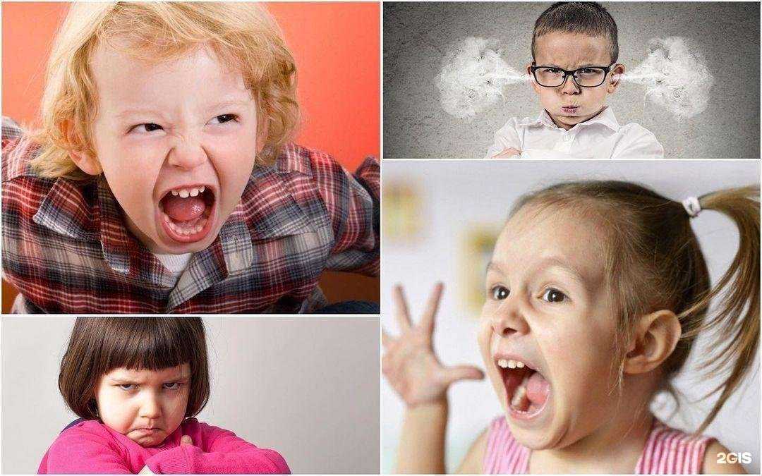 Отзывы на компанию Гармония в г. Химки c фото