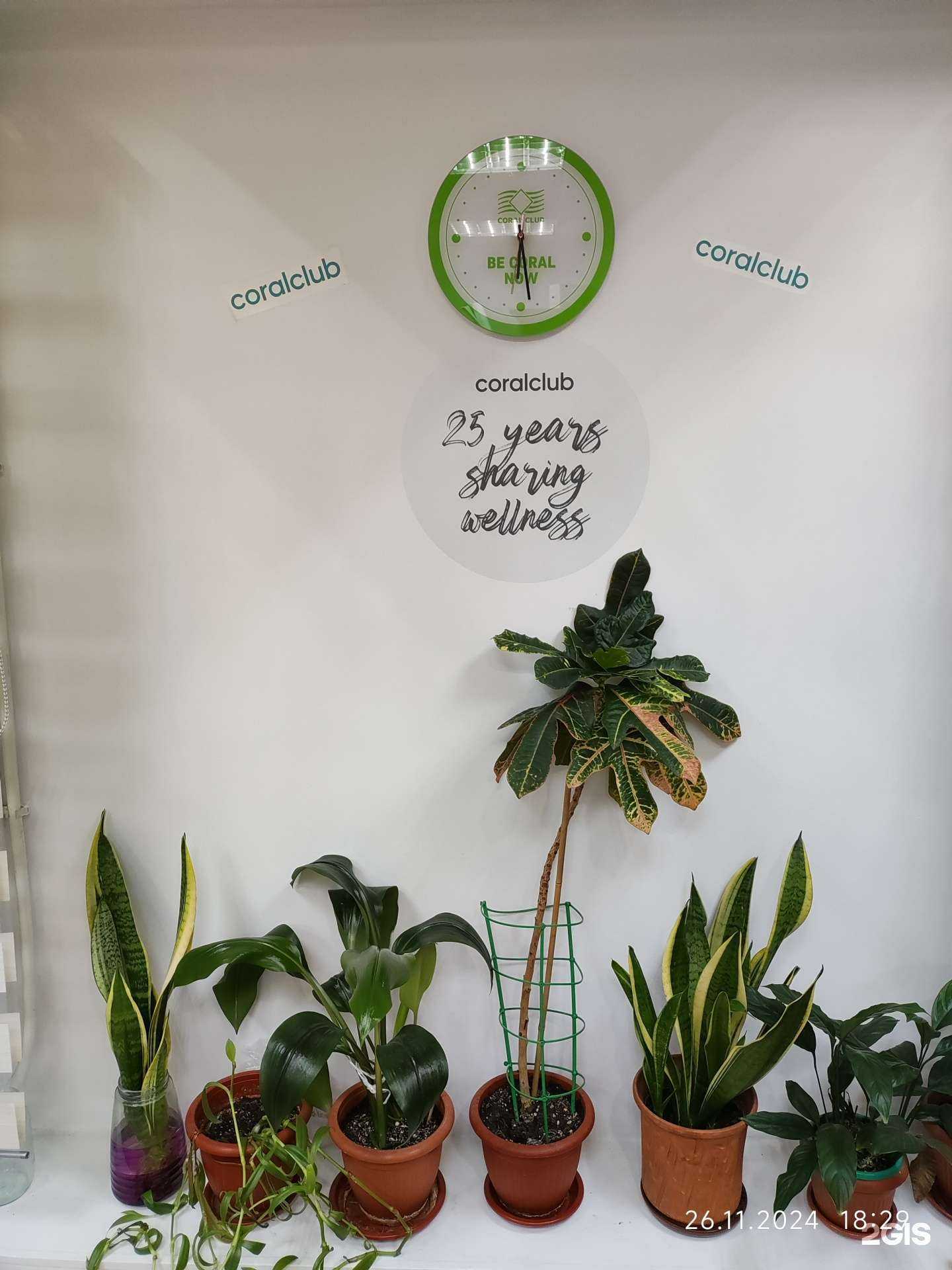 Отзывы на компанию Coral club в Череповце c фото