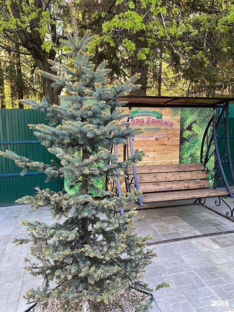 Отзывы на компанию Еловая банька в г. Чебоксары c фото