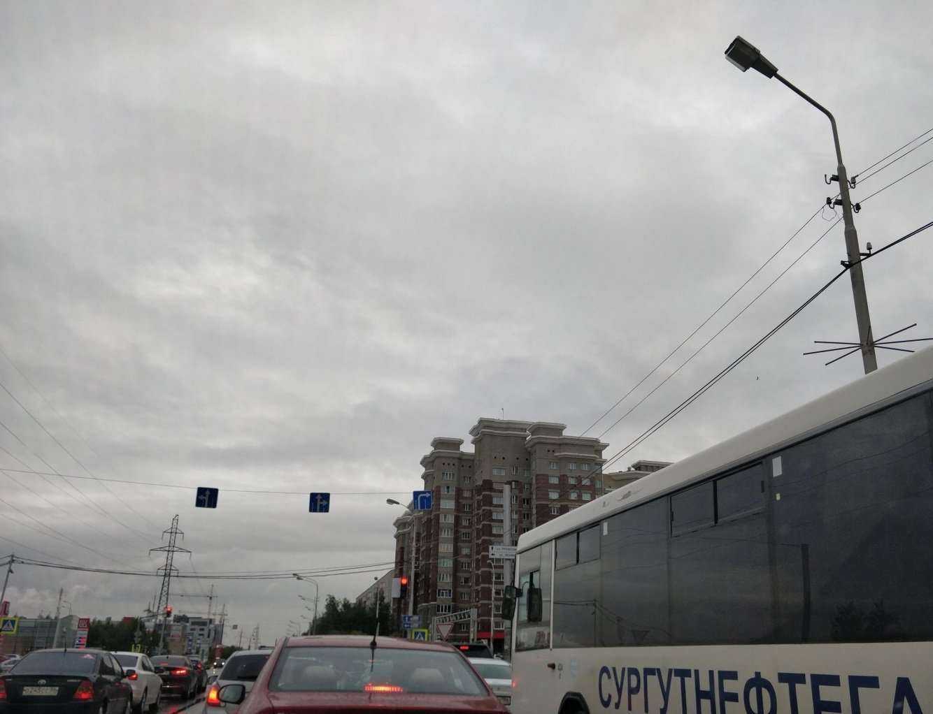 Отзывы на компанию Лаборатория профессора Цинка в Сургуте c фото - фотография 2 из 2