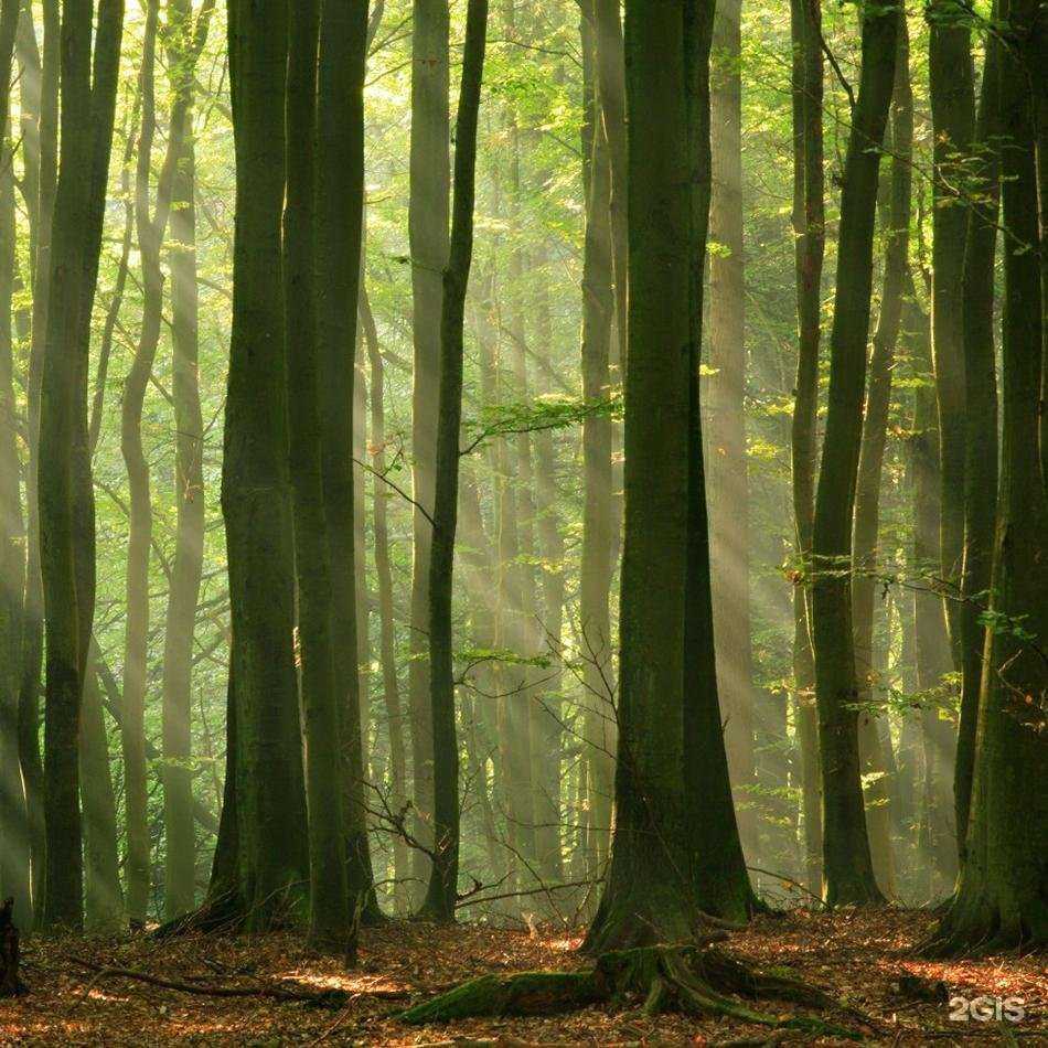 Отзывы на компанию Уралфасад в г. Подольск c фото