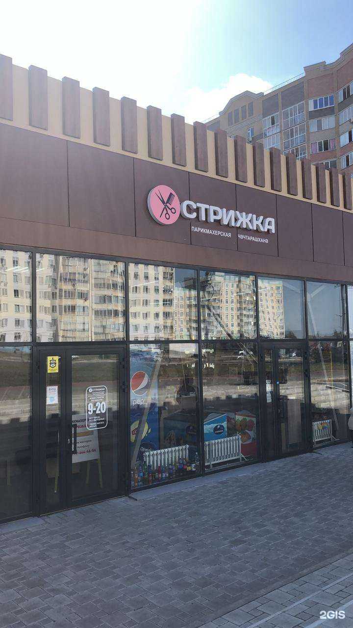 Отзывы на компанию Стрижка в Нижнекамске c фото