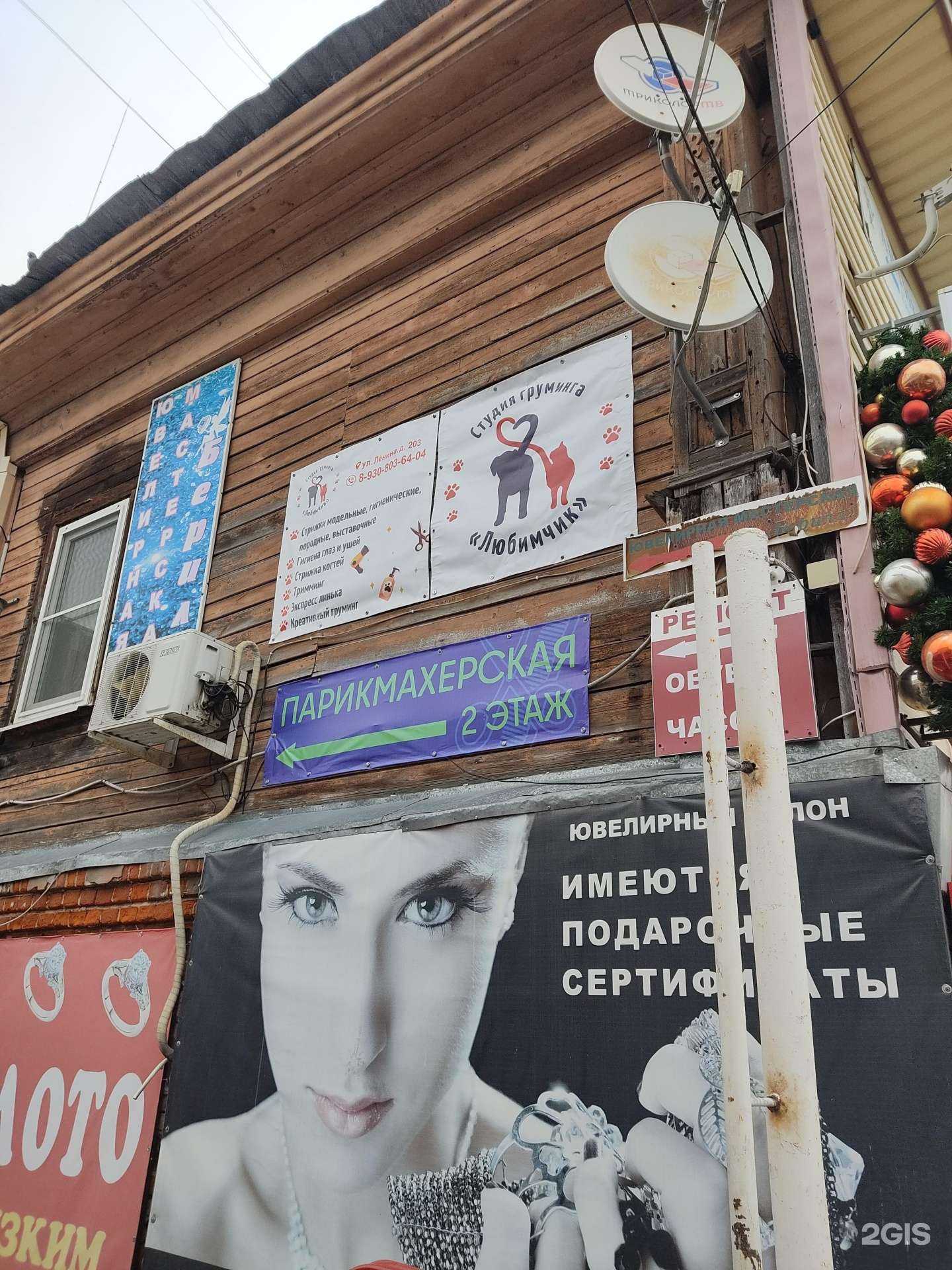 Отзывы на компанию Любимчик в Богородске c фото