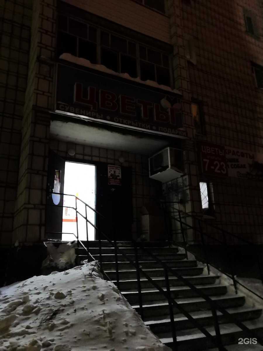 Отзывы на компанию Четыре лапы в г. Сыктывкар c фото