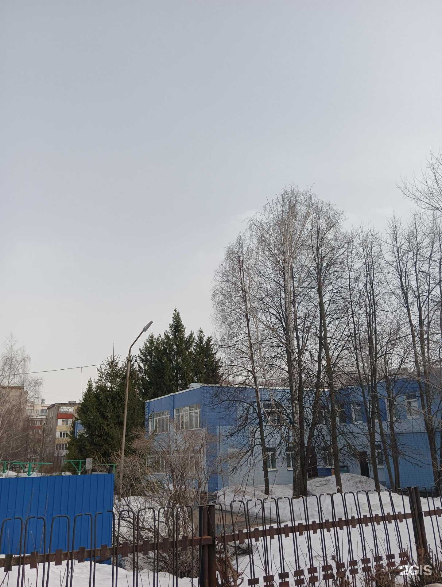 Отзывы на компанию Дельфиненок в Казани c фото