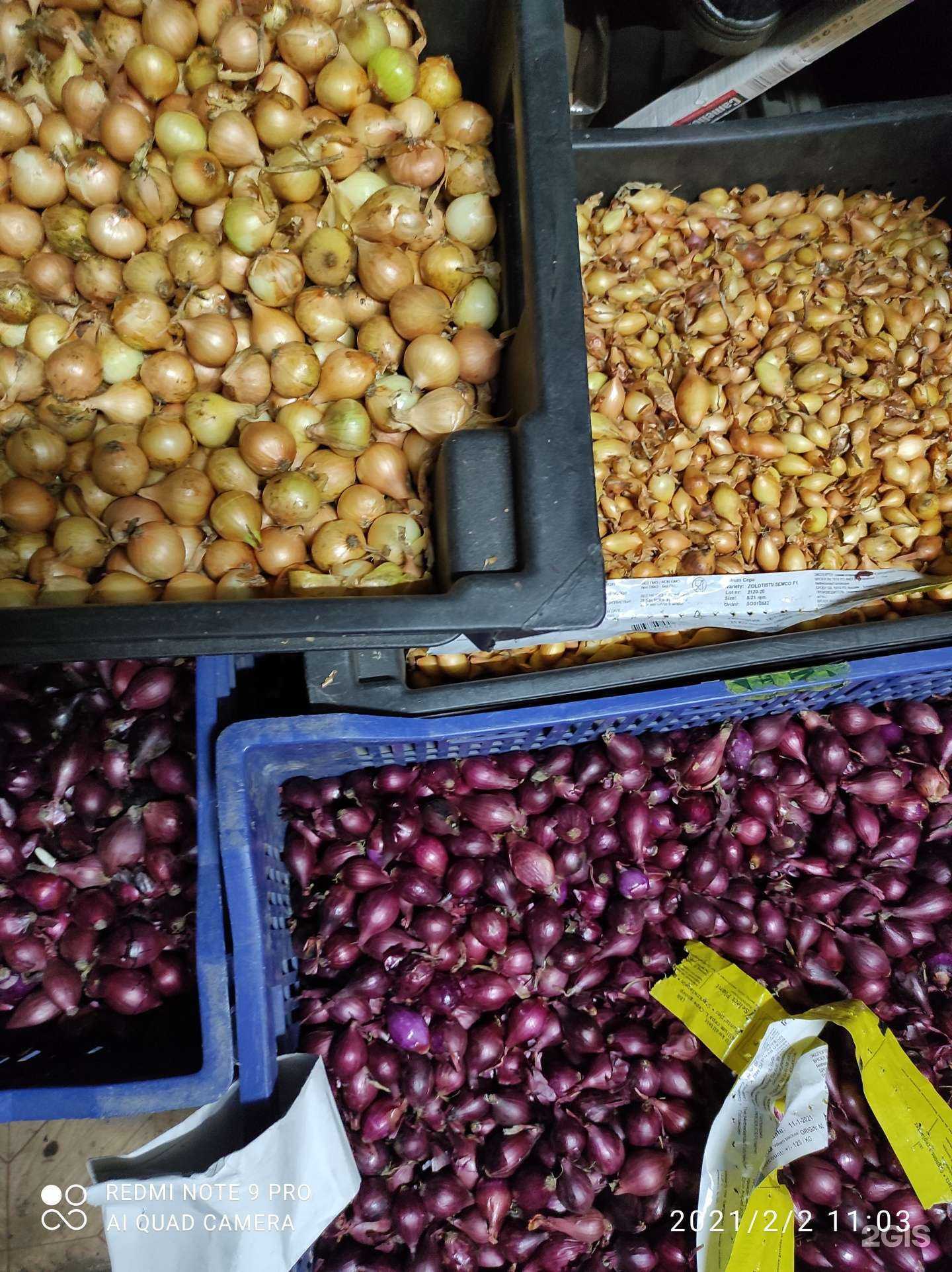 Отзывы на компанию Пчёлка в г. Архангельск c фото