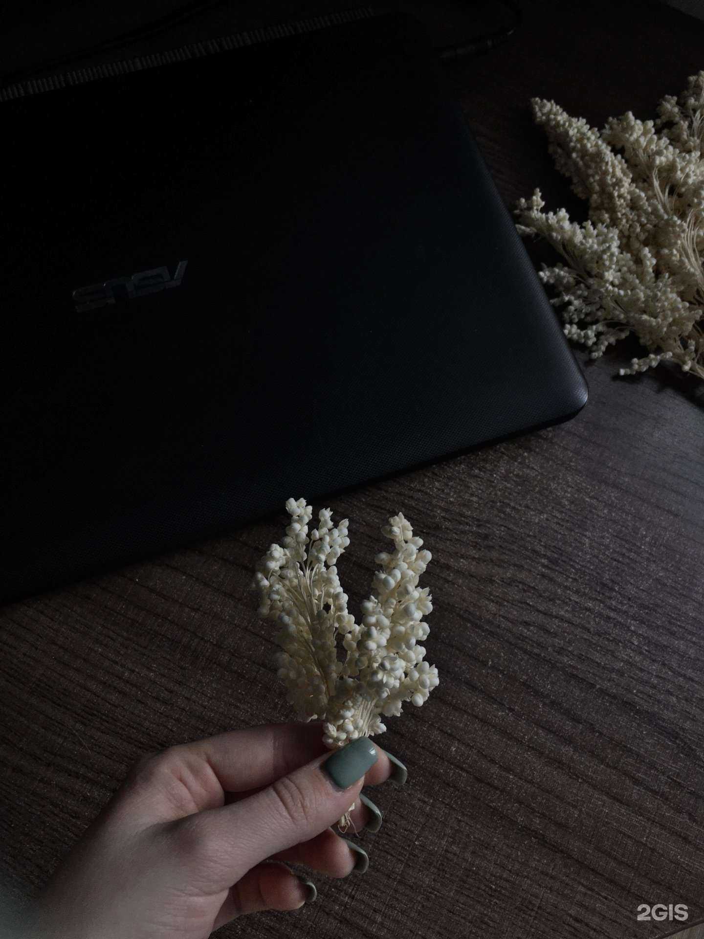 Отзывы на компанию Жасмин в Твери c фото