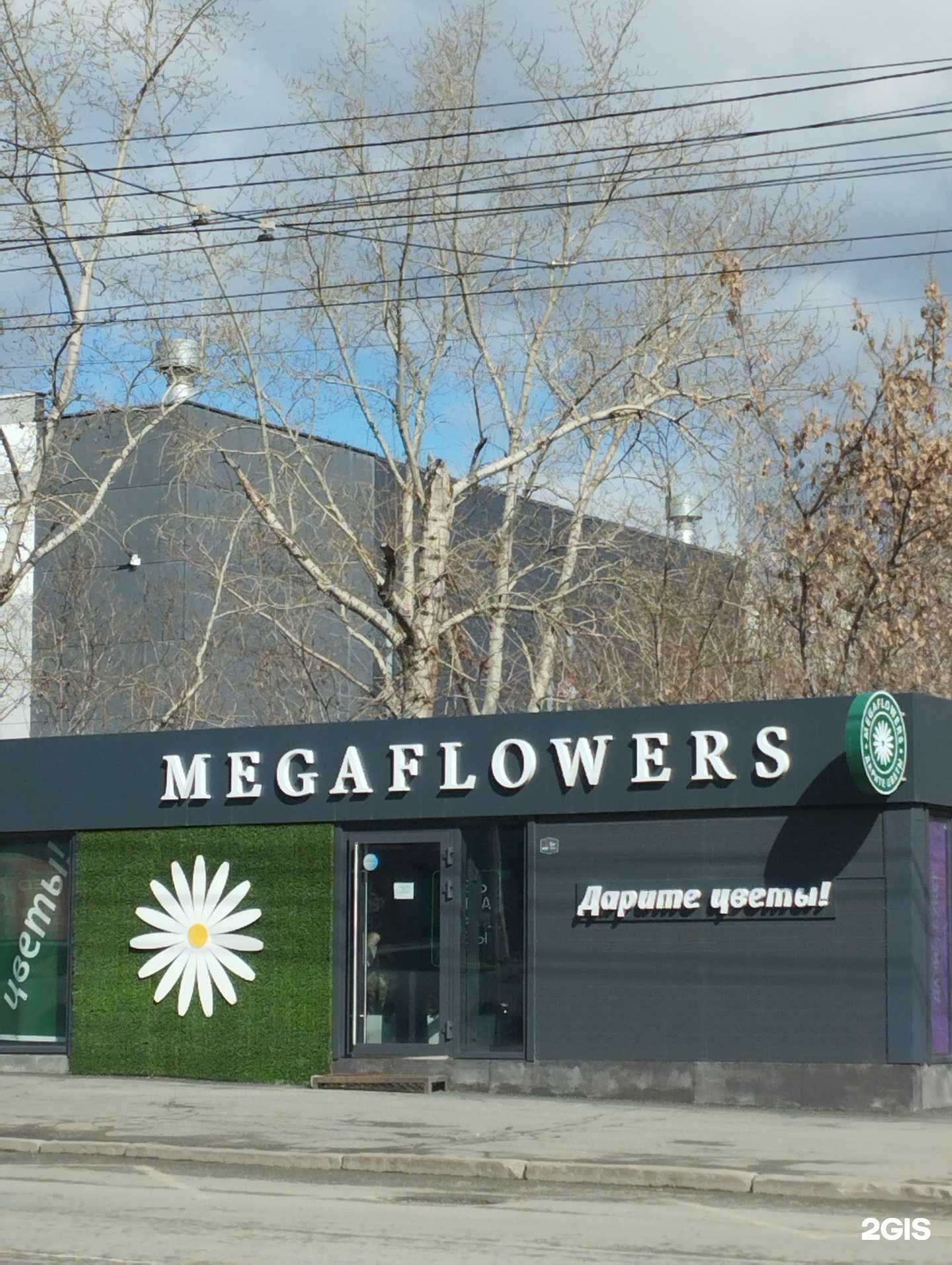 Отзывы на компанию MEGAFLOWERS в Челябинске c фото - фотография 2 из 2