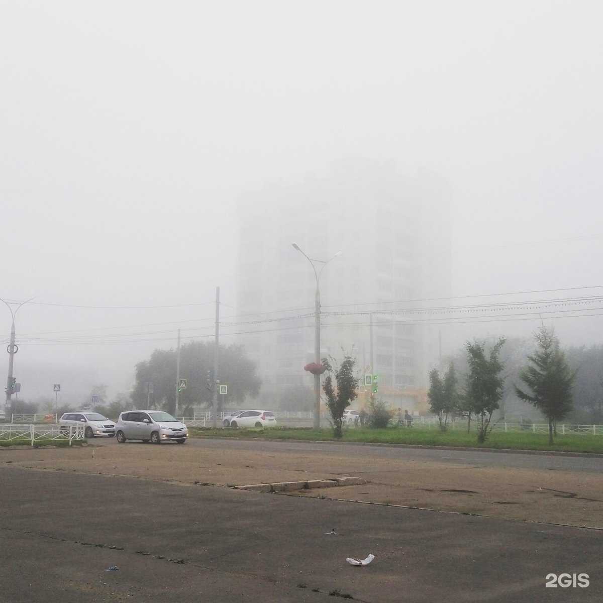 Отзывы на компанию Слойка в Комсомольске-на-Амуре c фото - фотография 2 из 2