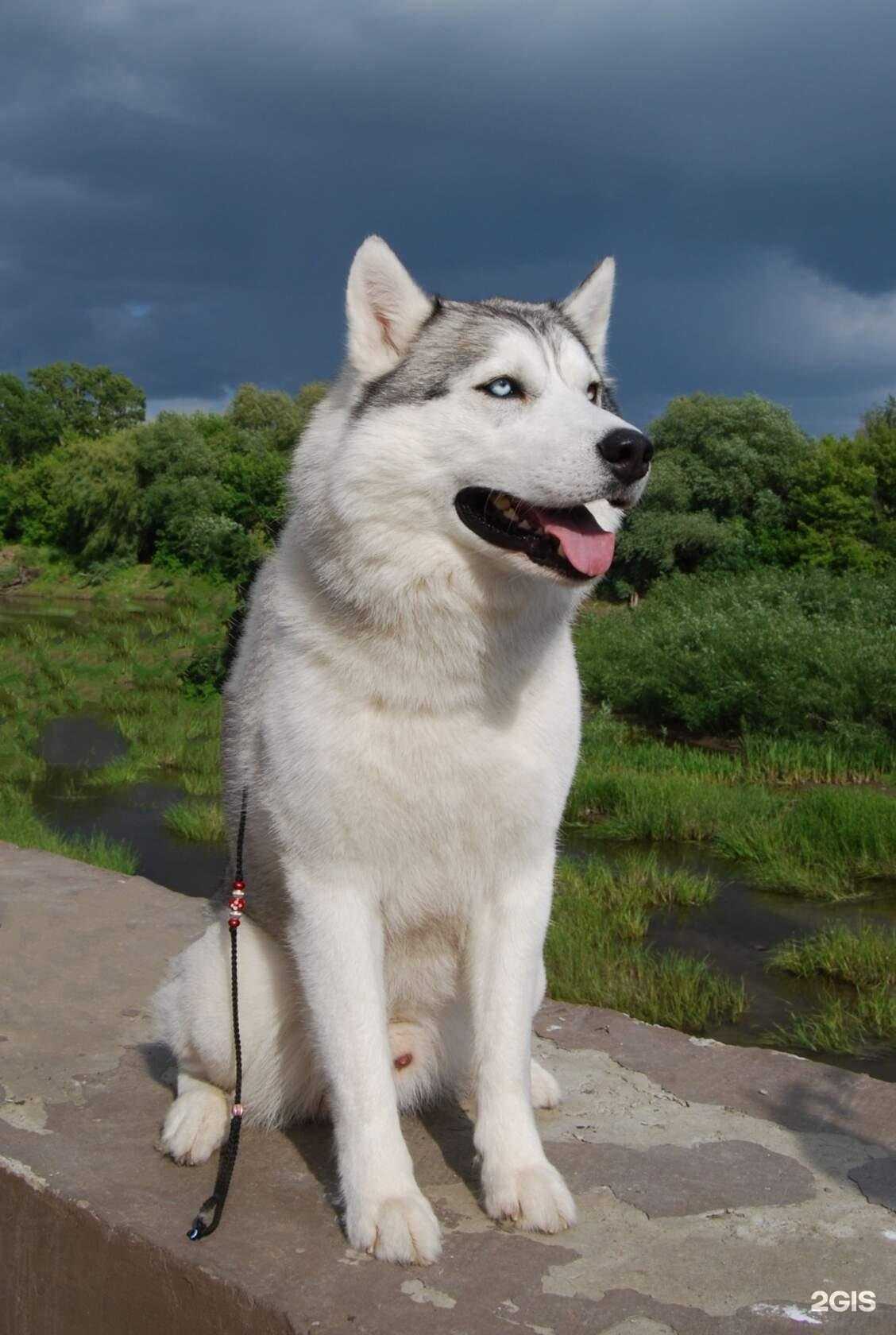 Отзывы на компанию Курган-Град в Кургане c фото
