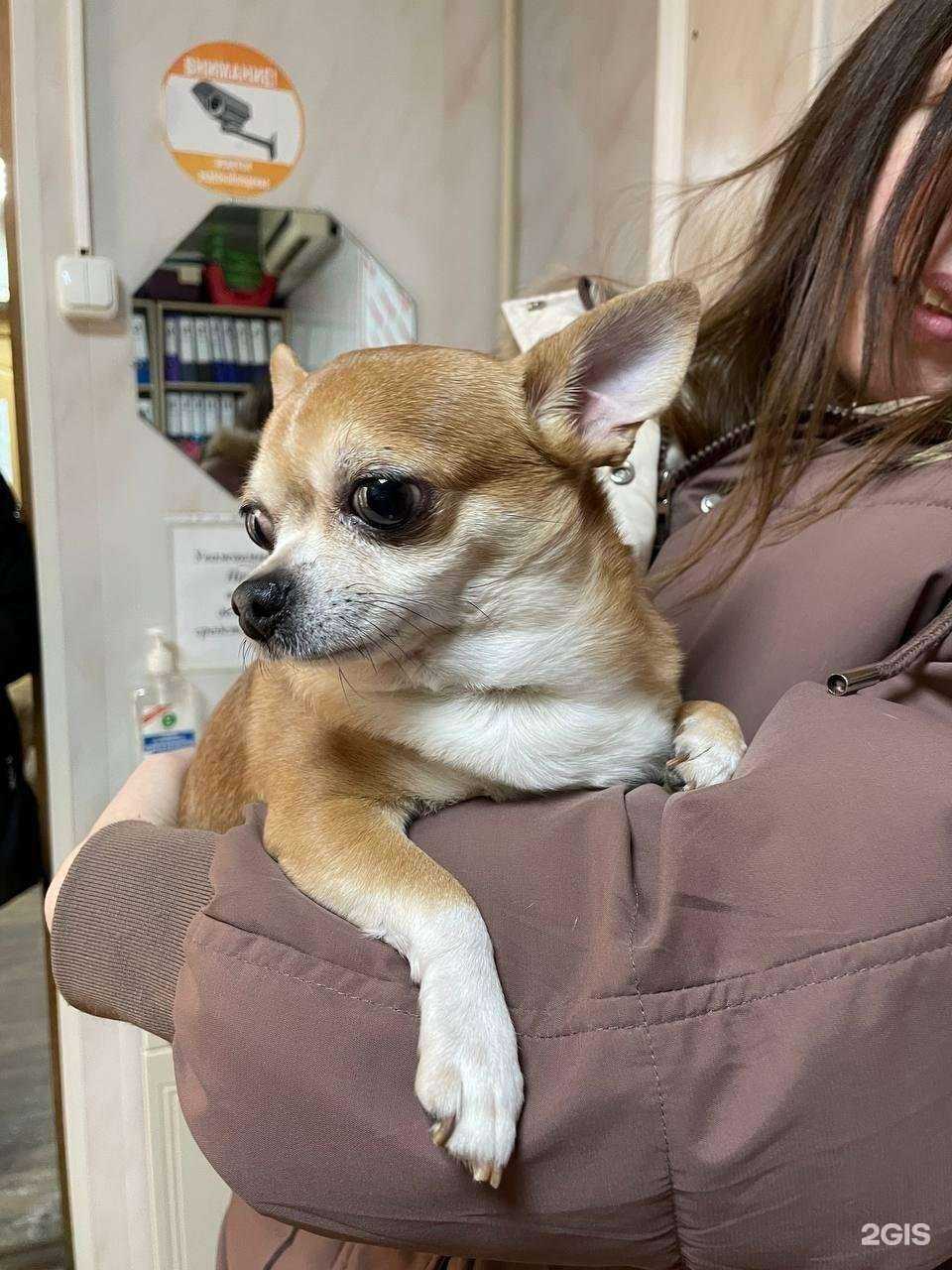 Отзывы на компанию Краснодог в Краснодаре c фото